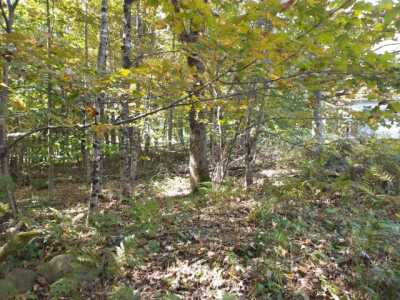 Residential Land For Sale in Dexter, Maine