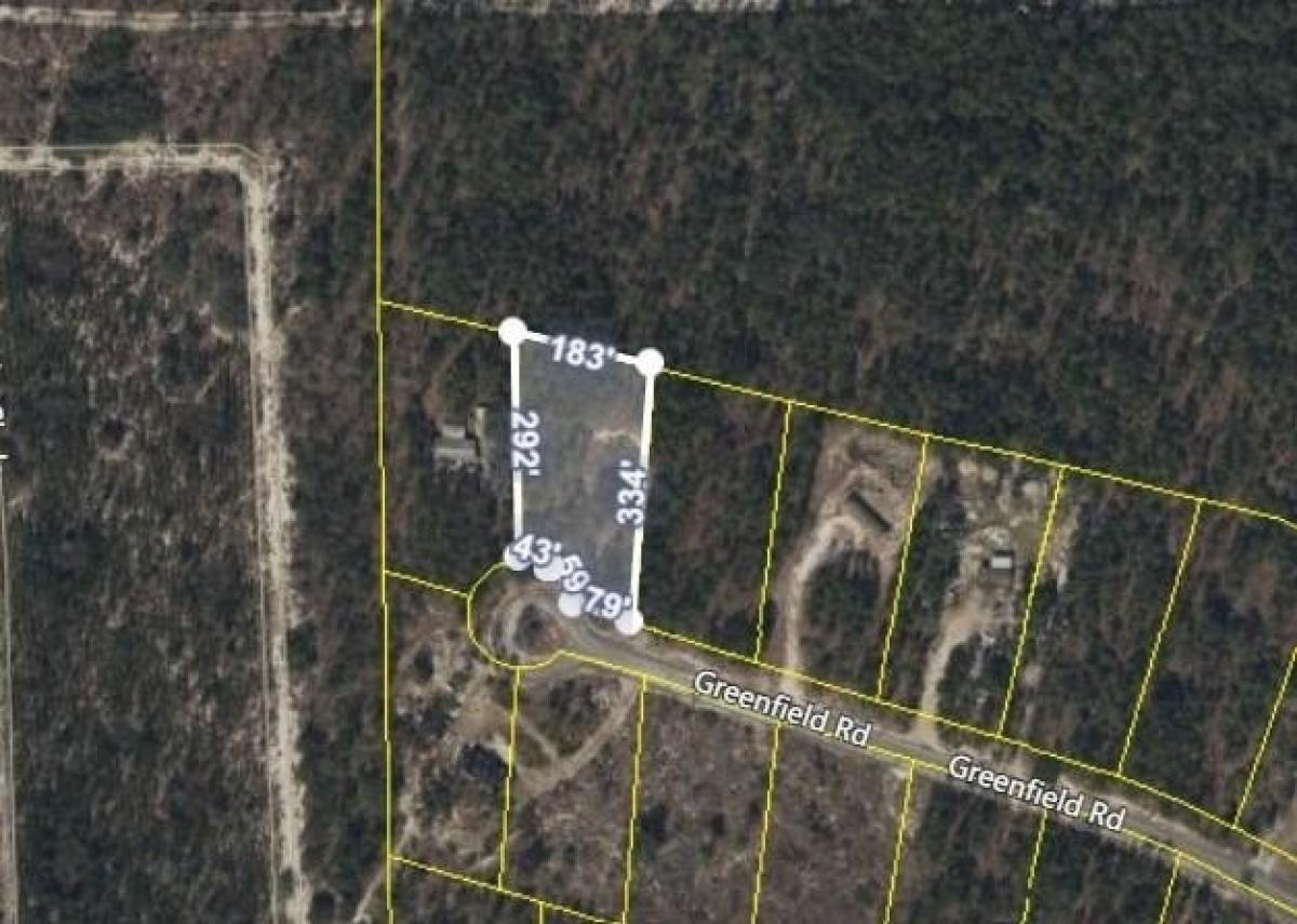 Picture of Residential Land For Sale in Blackshear, Georgia, United States