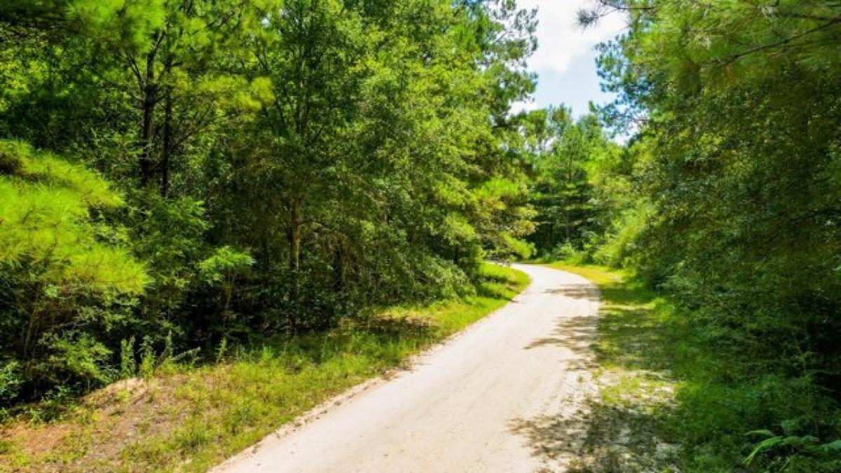 Picture of Residential Land For Sale in Lumberton, Mississippi, United States