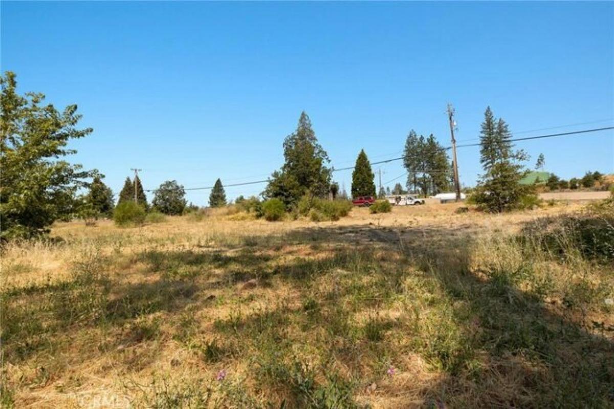 Picture of Residential Land For Sale in Paradise, California, United States