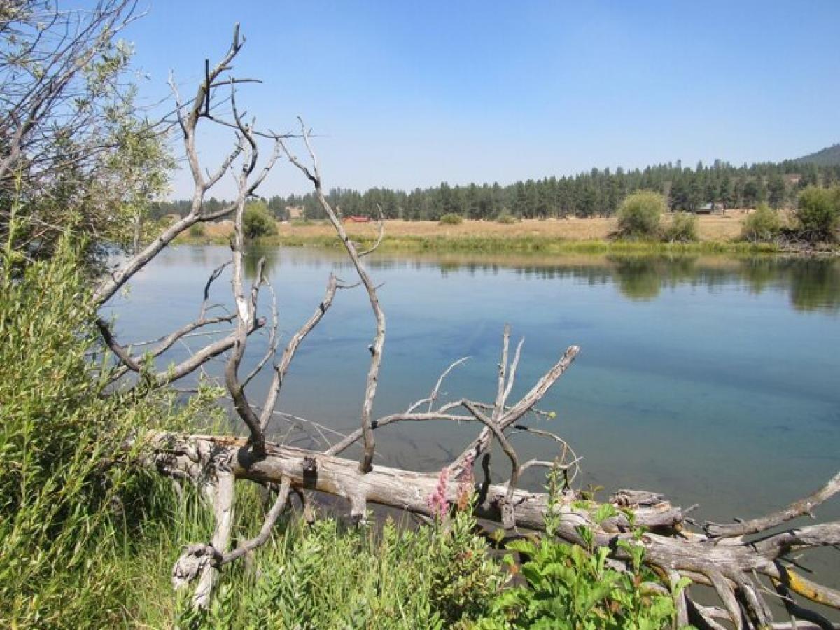 Picture of Residential Land For Sale in Chiloquin, Oregon, United States