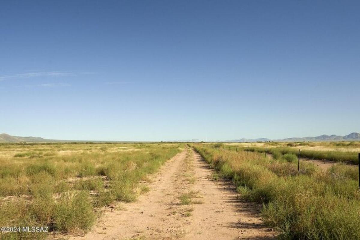 Picture of Residential Land For Sale in Portal, Arizona, United States