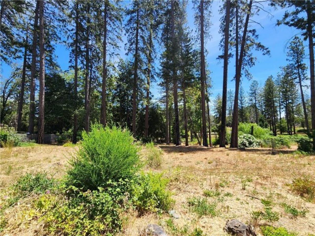 Picture of Residential Land For Sale in Paradise, California, United States