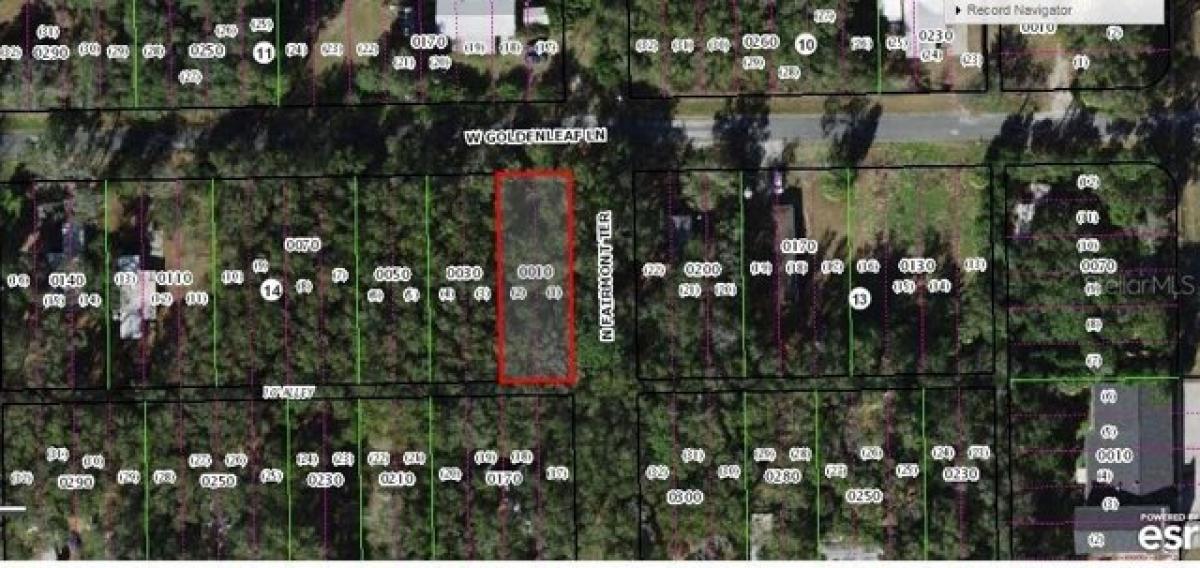 Picture of Residential Land For Sale in Inverness, Florida, United States