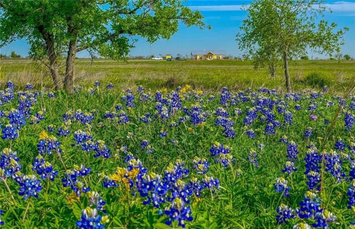 Picture of Residential Land For Sale in Clifton, Texas, United States