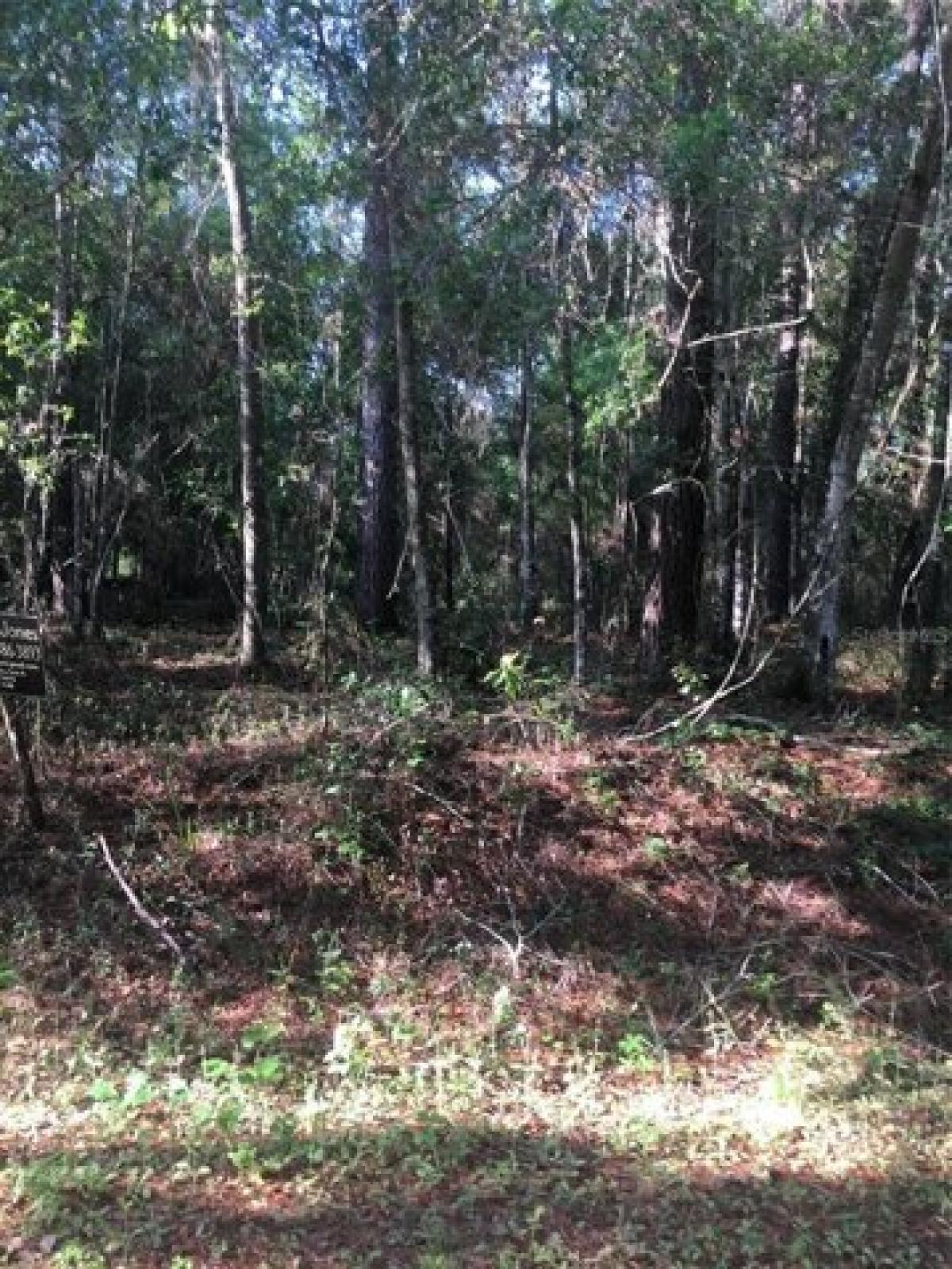 Picture of Residential Land For Sale in Ocklawaha, Florida, United States