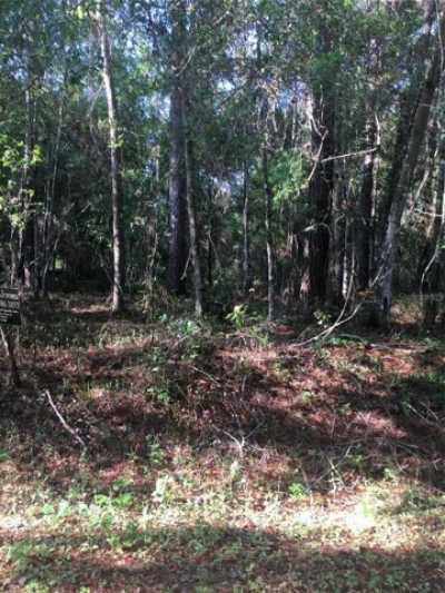 Residential Land For Sale in Ocklawaha, Florida