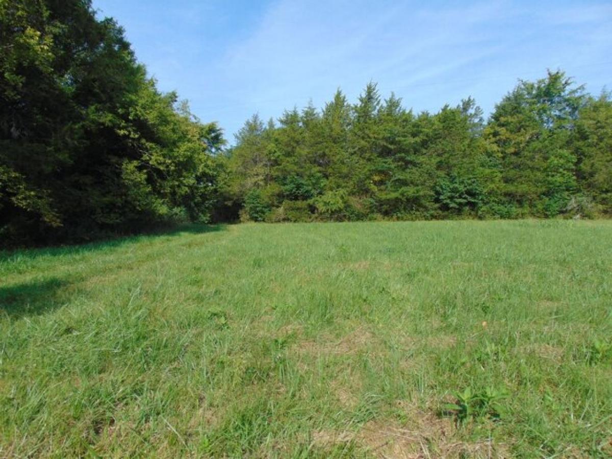 Picture of Residential Land For Sale in Shelbyville, Tennessee, United States