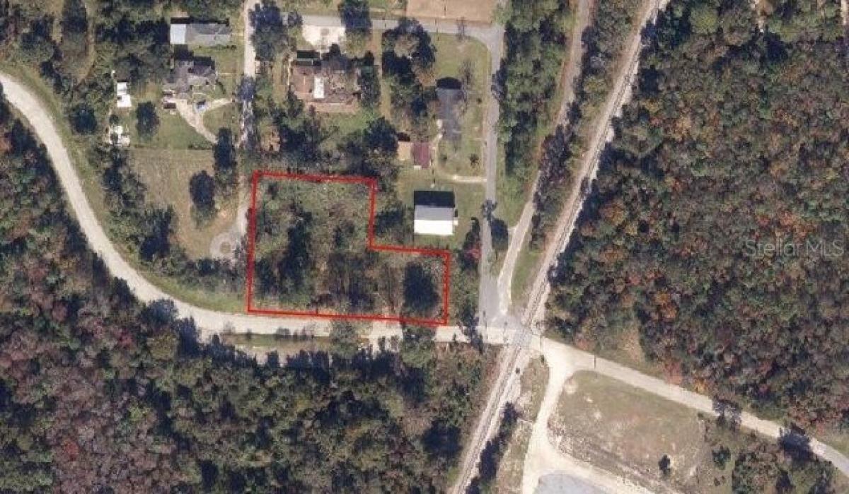 Picture of Residential Land For Sale in Century, Florida, United States