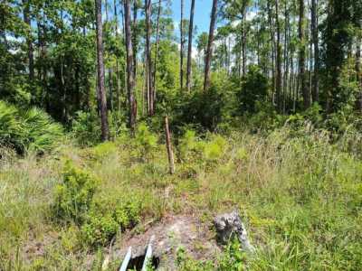 Residential Land For Sale in Bunnell, Florida