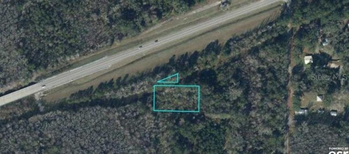 Picture of Residential Land For Sale in Caryville, Florida, United States