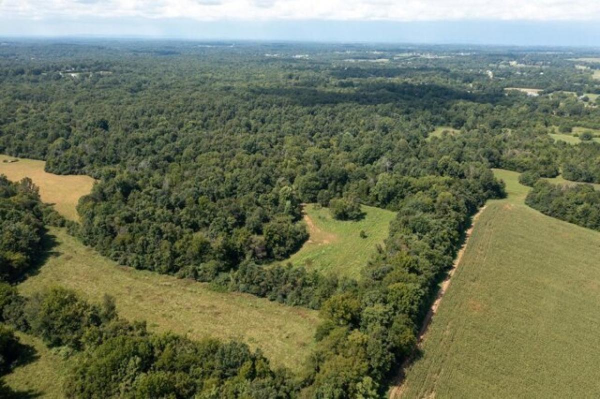 Picture of Residential Land For Sale in Shelbyville, Tennessee, United States