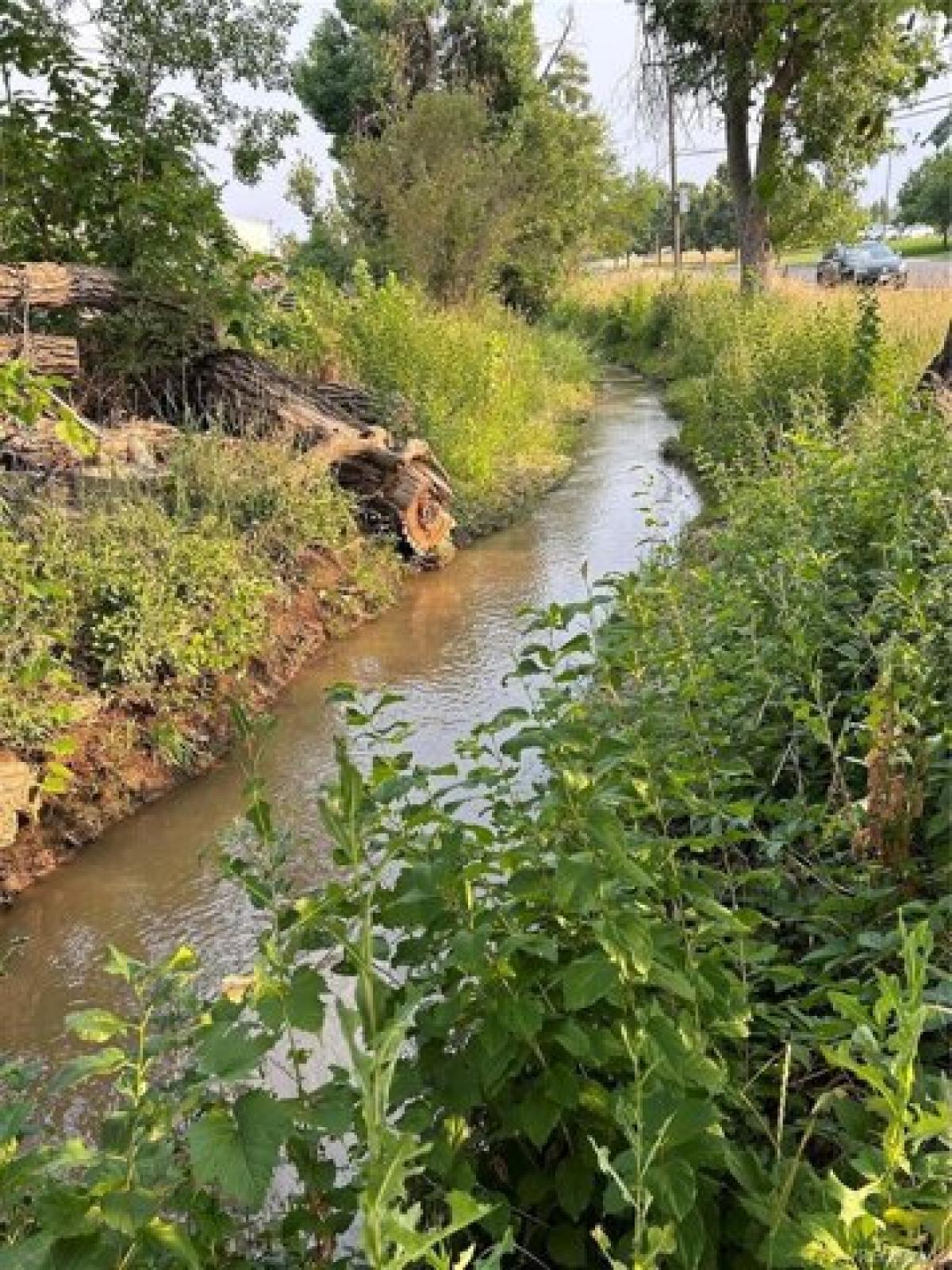 Picture of Residential Land For Sale in Lakewood, Colorado, United States