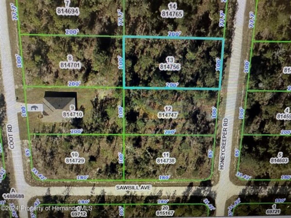 Picture of Residential Land For Sale in Brooksville, Florida, United States