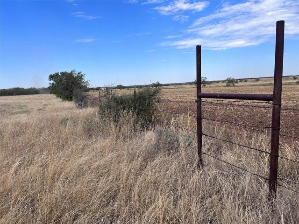 Picture of Residential Land For Sale in Merkel, Texas, United States