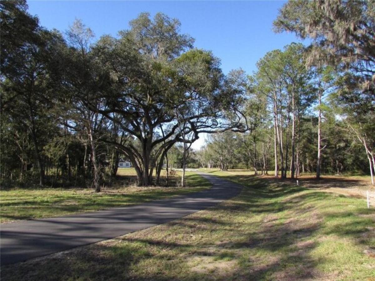 Picture of Residential Land For Sale in Newberry, Florida, United States