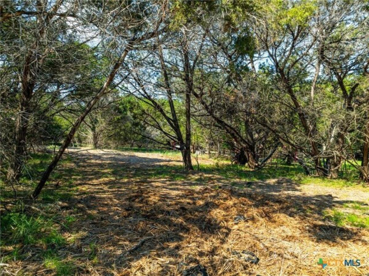 Picture of Residential Land For Sale in Belton, Texas, United States