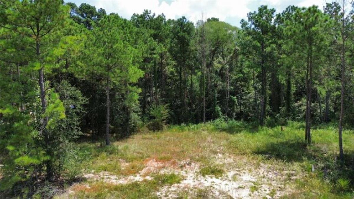 Picture of Residential Land For Sale in Pinehurst, Texas, United States