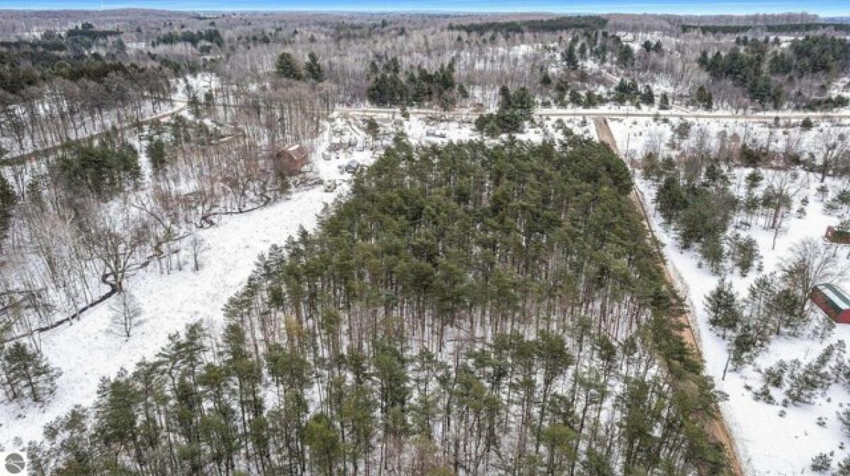 Picture of Residential Land For Sale in Kalkaska, Michigan, United States