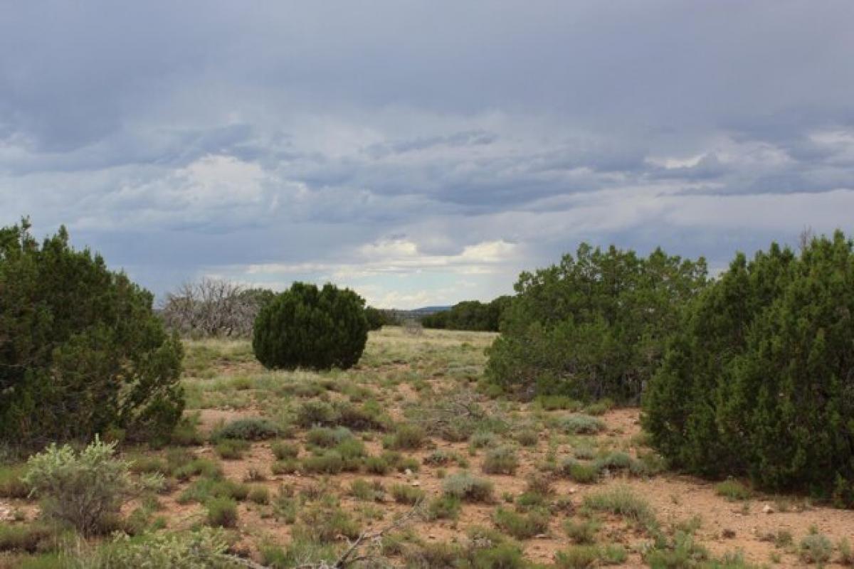 Picture of Residential Land For Sale in Heber, Arizona, United States