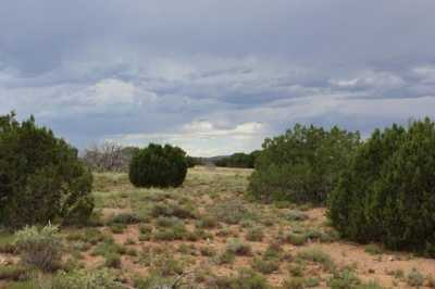 Residential Land For Sale in Heber, Arizona