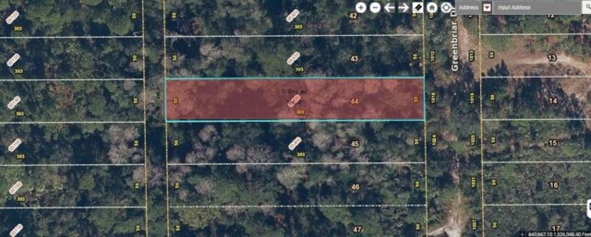 Picture of Residential Land For Sale in Christmas, Florida, United States