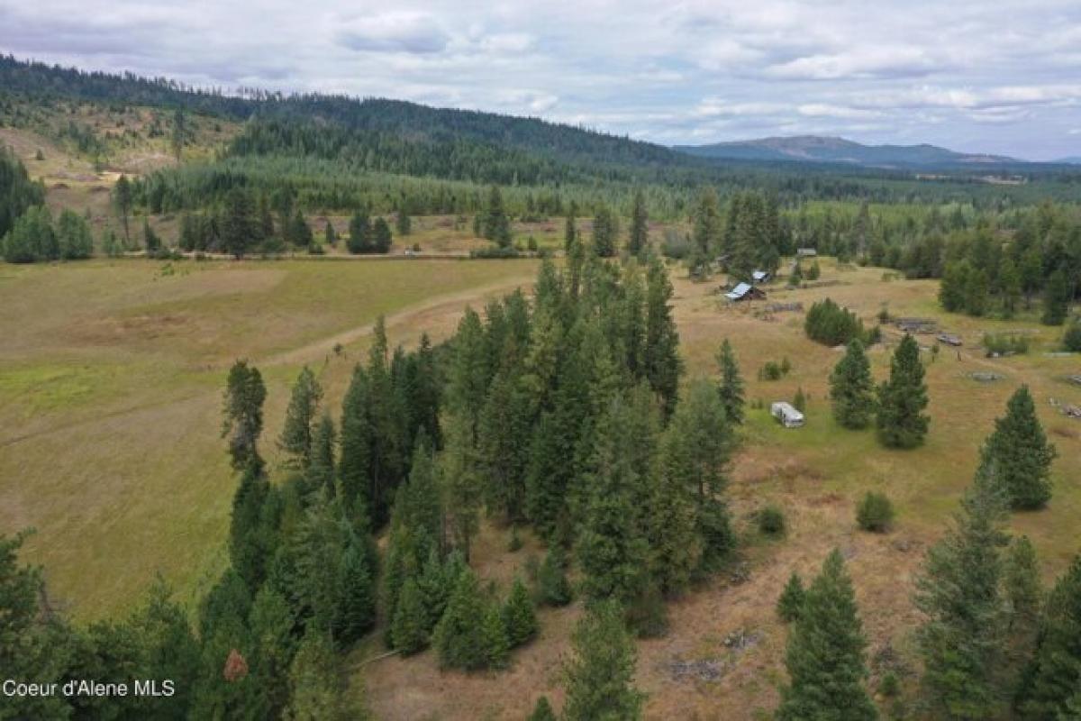 Picture of Residential Land For Sale in Saint Maries, Idaho, United States