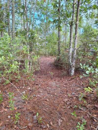 Residential Land For Sale in Palatka, Florida