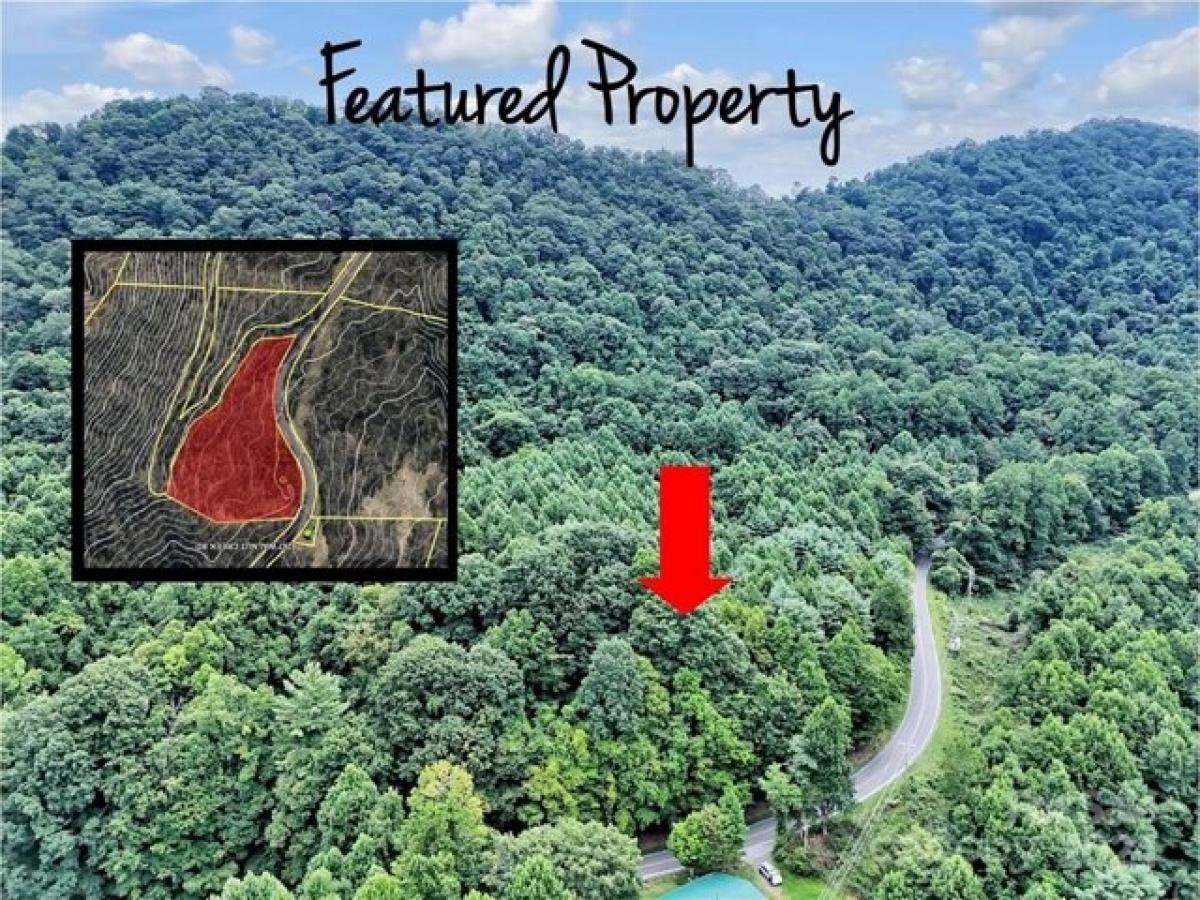 Picture of Residential Land For Sale in Marshall, North Carolina, United States