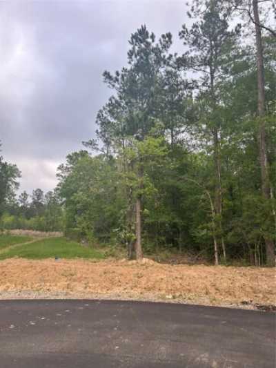 Residential Land For Sale in Dayton, Texas