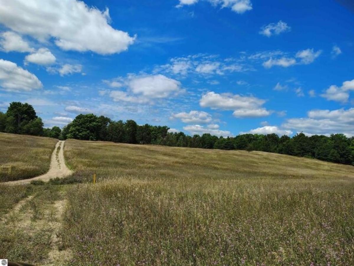 Picture of Residential Land For Sale in Gaylord, Michigan, United States