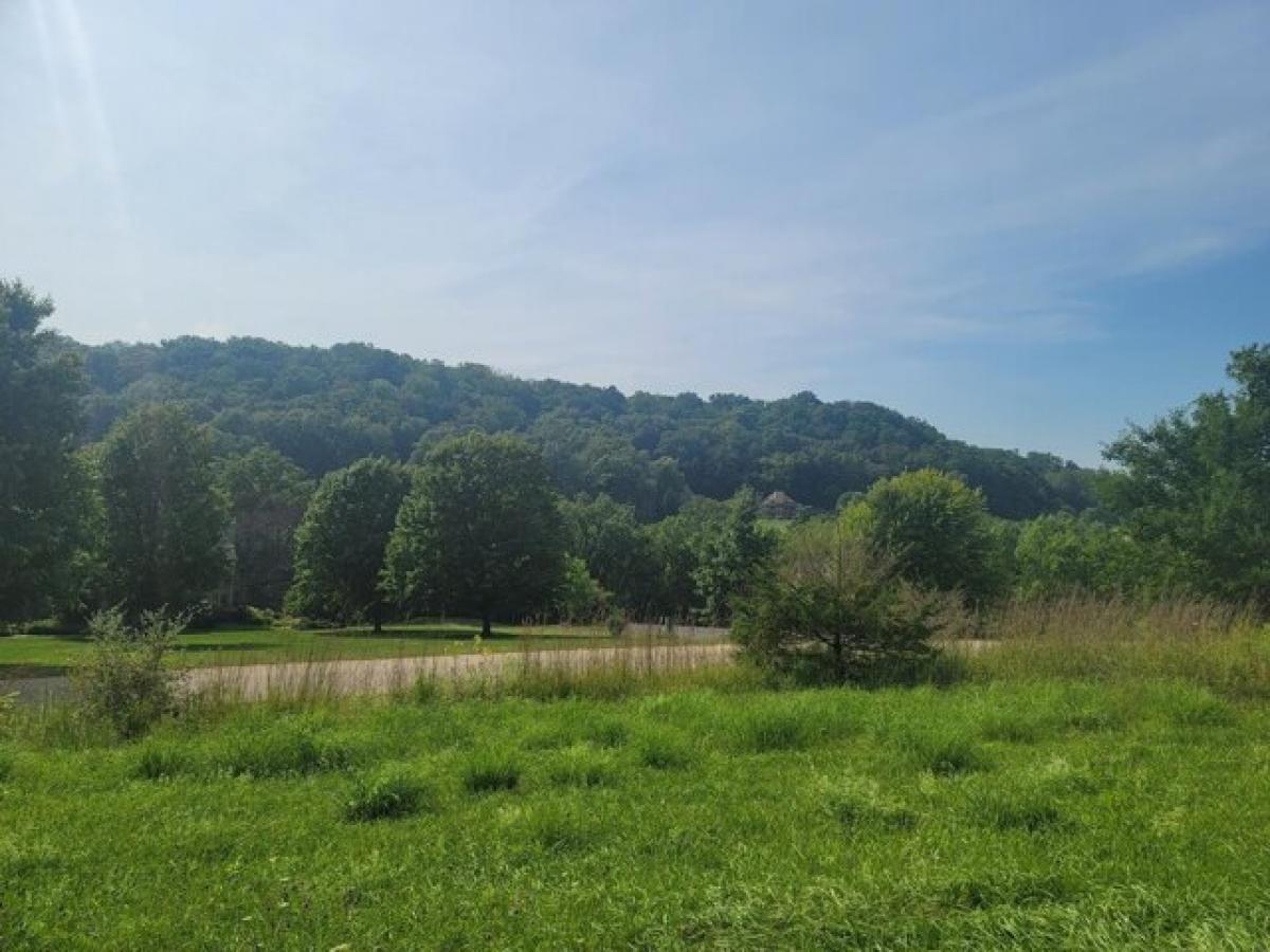 Picture of Residential Land For Sale in Galena, Illinois, United States