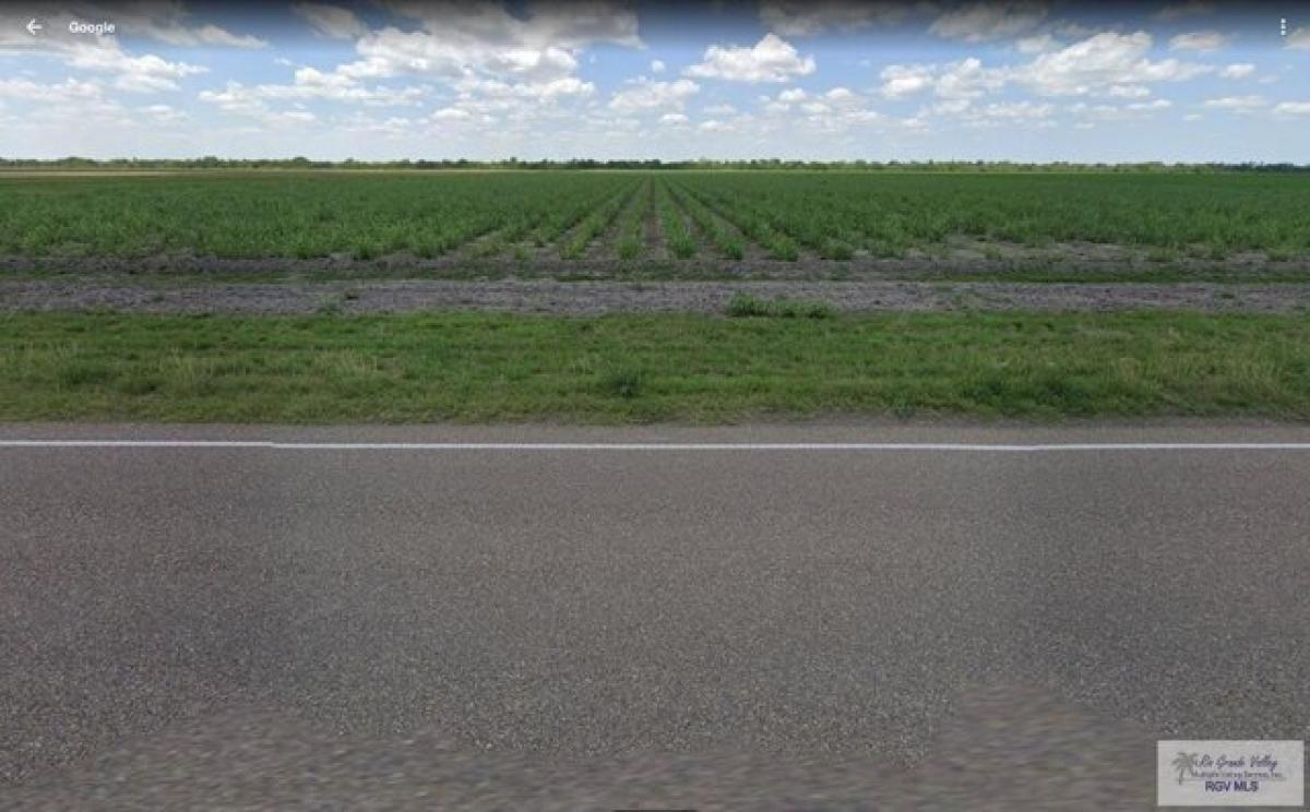 Picture of Residential Land For Sale in Santa Rosa, Texas, United States