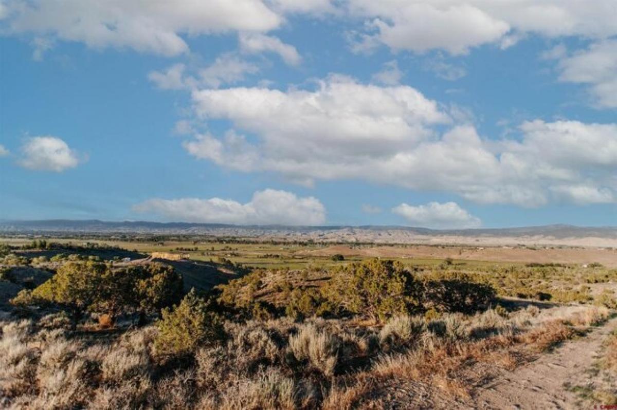 Picture of Residential Land For Sale in Montrose, Colorado, United States