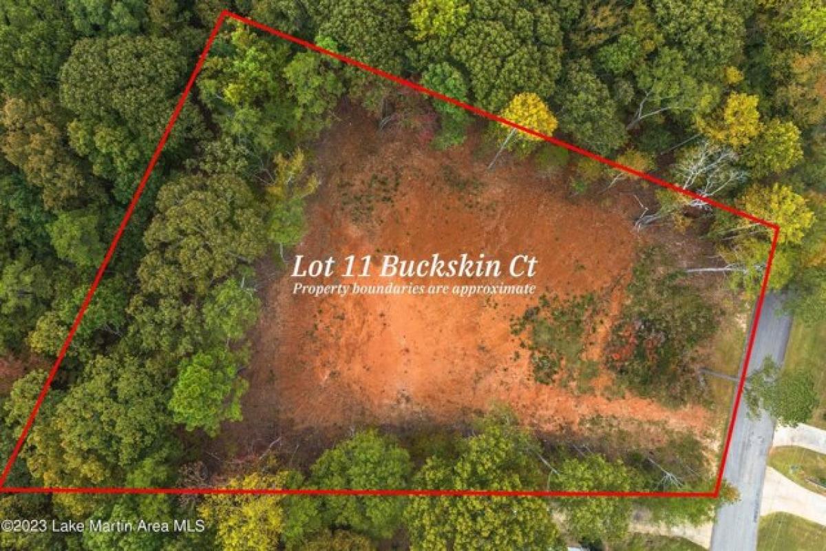 Picture of Residential Land For Sale in Dadeville, Alabama, United States