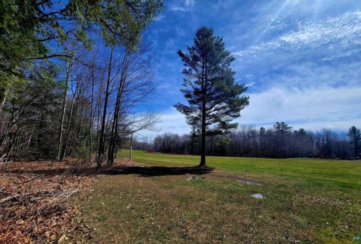 Picture of Residential Land For Sale in Bayfield, Wisconsin, United States