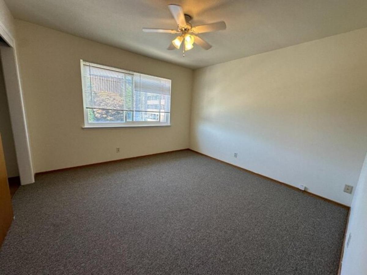 Picture of Apartment For Rent in San Mateo, California, United States