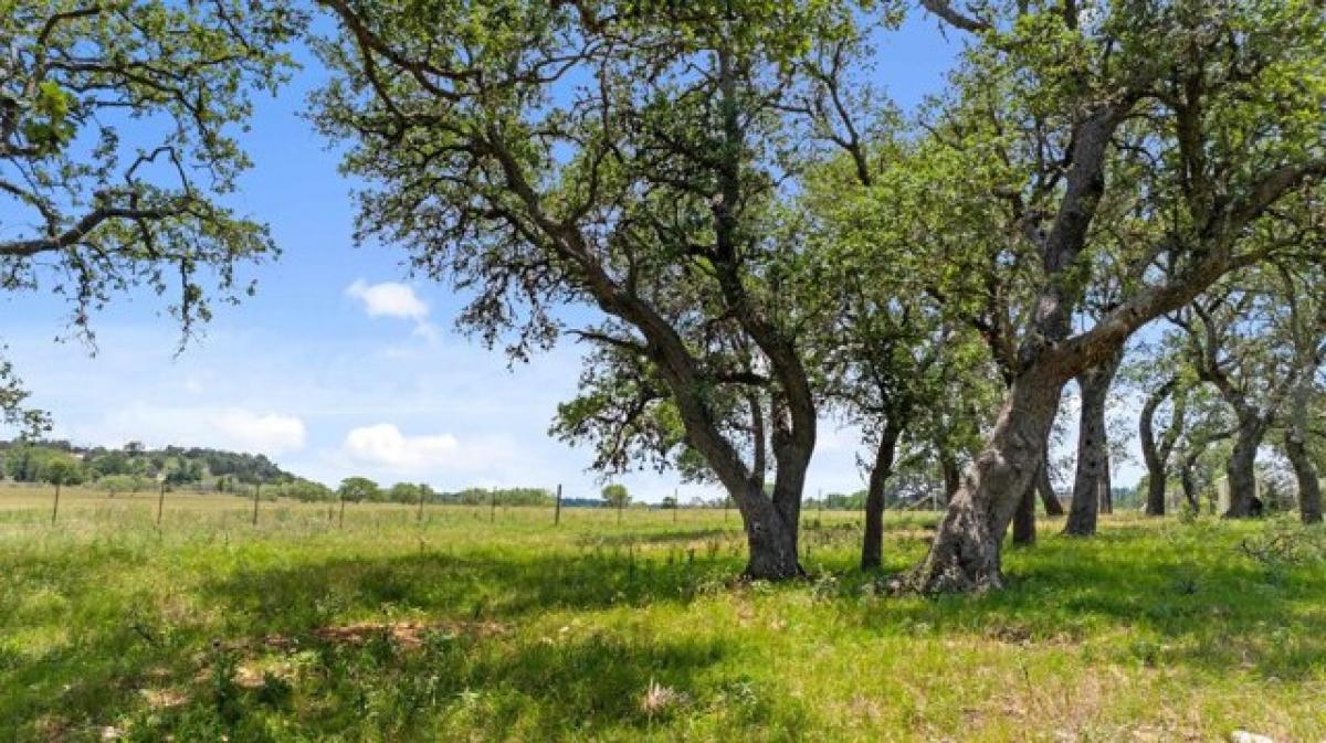 Picture of Residential Land For Sale in Fredericksburg, Texas, United States