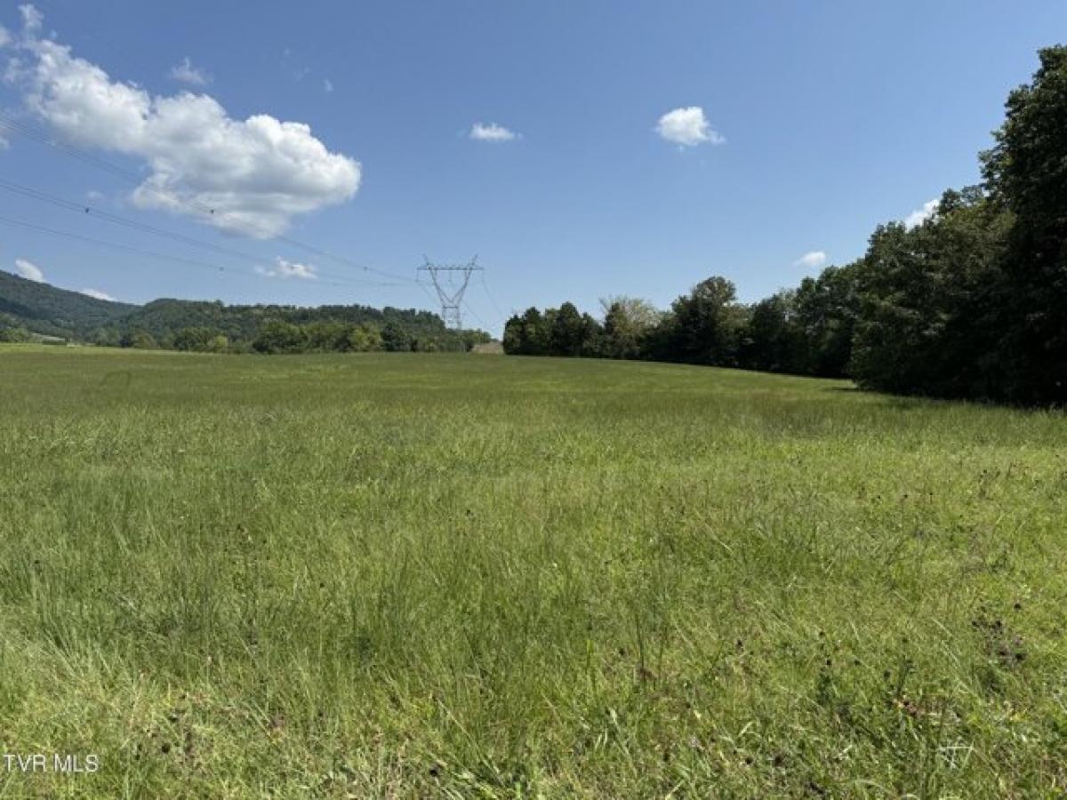 Picture of Residential Land For Sale in Greeneville, Tennessee, United States