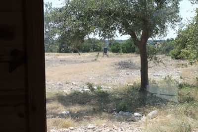 Residential Land For Sale in 