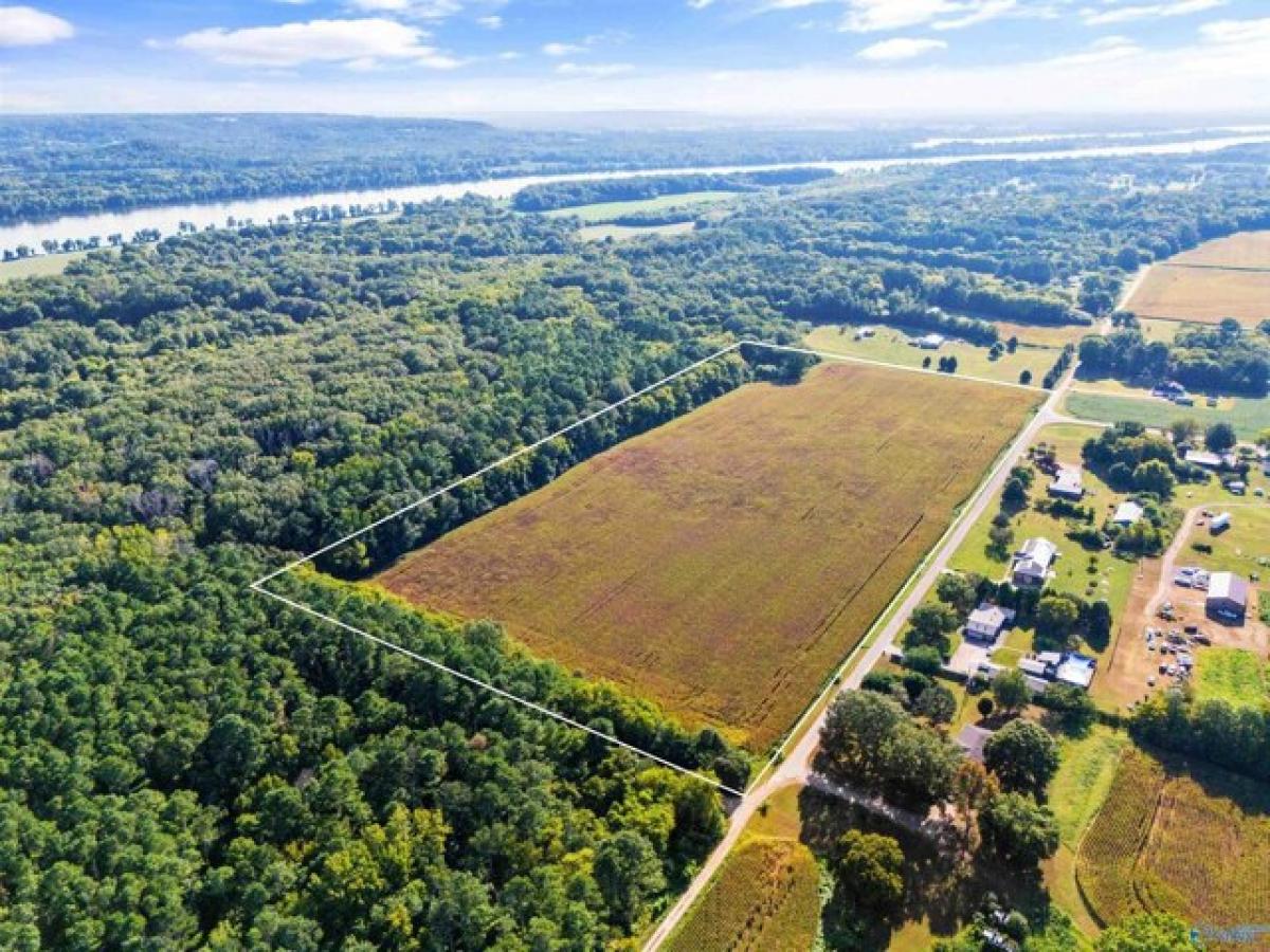 Picture of Residential Land For Sale in Madison, Alabama, United States