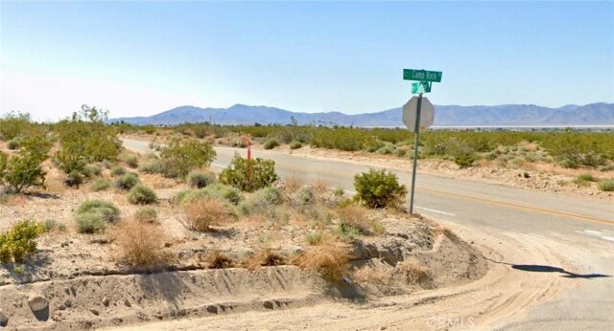 Picture of Residential Land For Sale in Lucerne Valley, California, United States