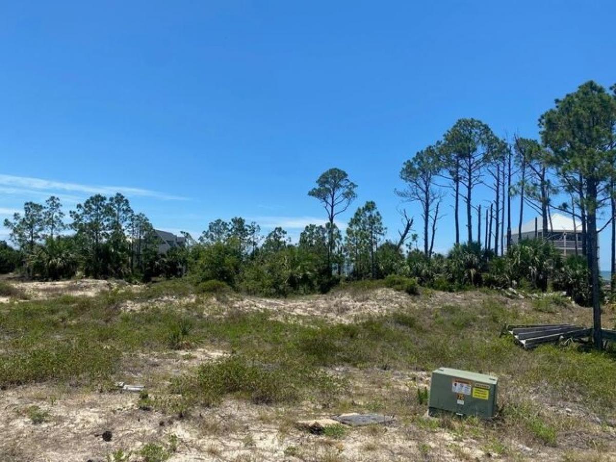 Picture of Residential Land For Sale in Port Saint Joe, Florida, United States