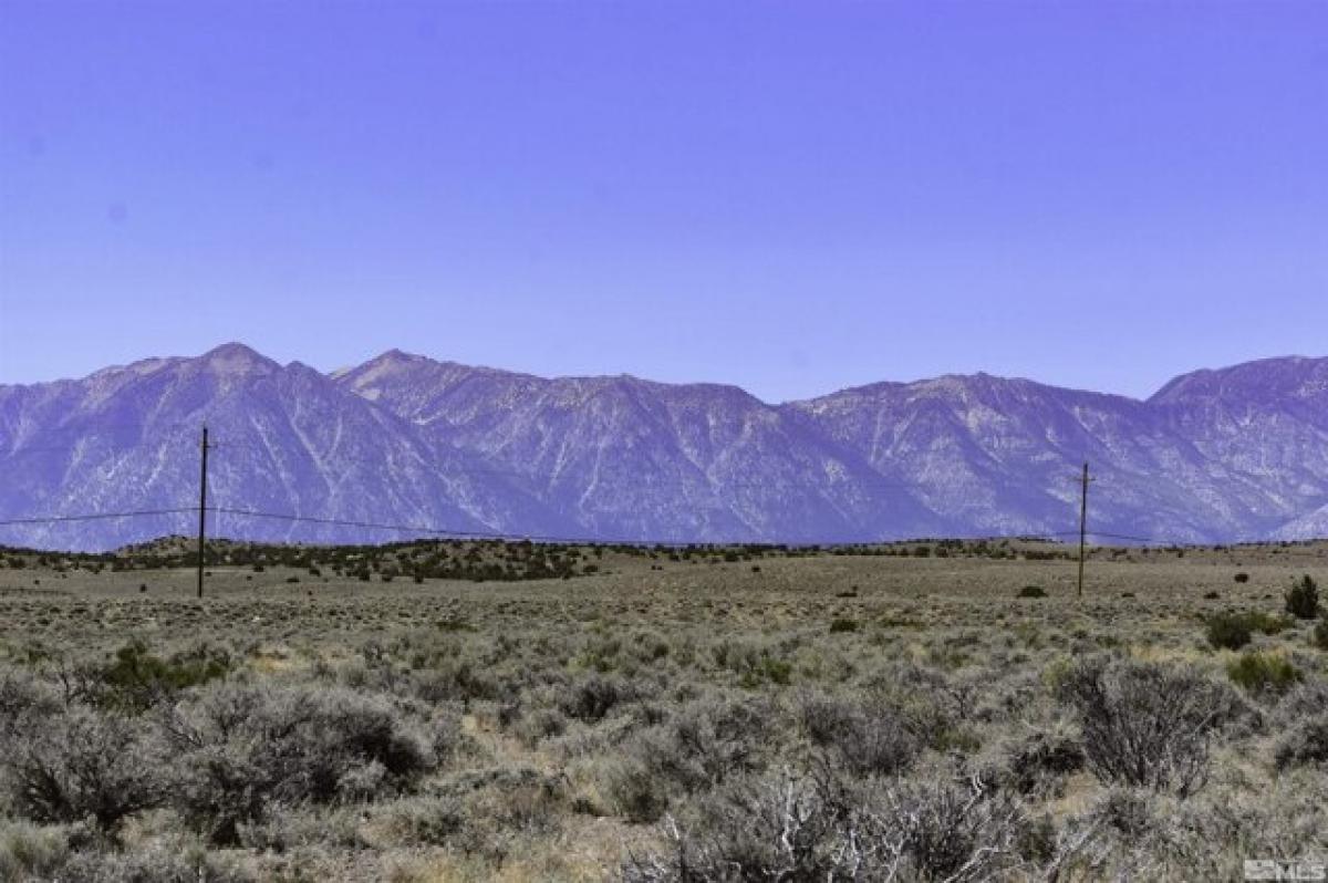 Picture of Residential Land For Sale in Gardnerville, Nevada, United States