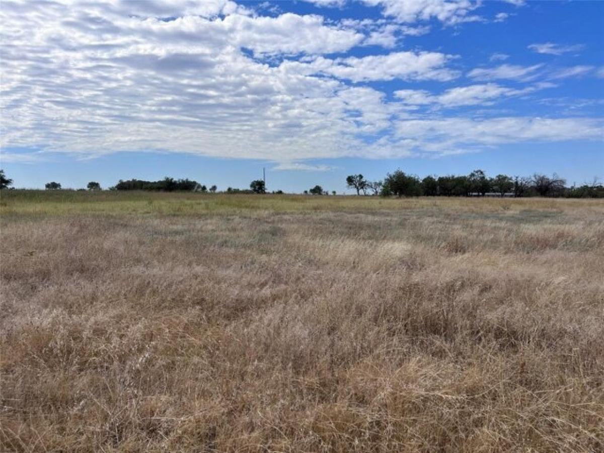 Picture of Residential Land For Sale in Merkel, Texas, United States