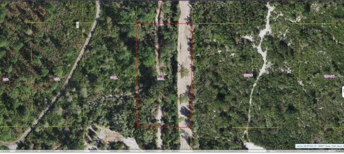 Picture of Residential Land For Sale in Saint Cloud, Florida, United States