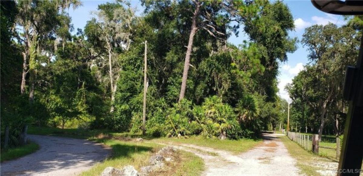 Picture of Residential Land For Sale in Floral City, Florida, United States