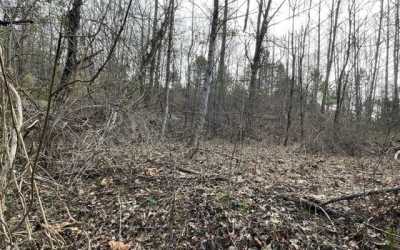 Residential Land For Sale in 