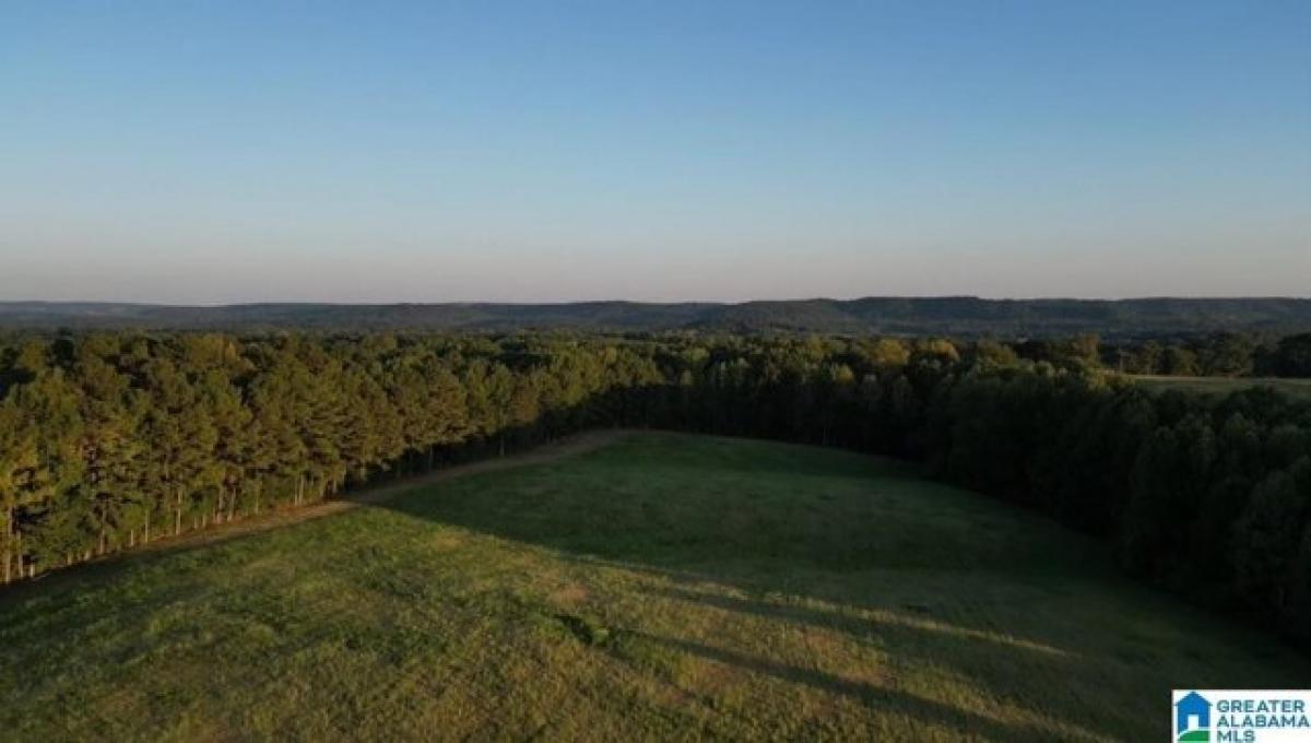 Picture of Residential Land For Sale in Blountsville, Alabama, United States