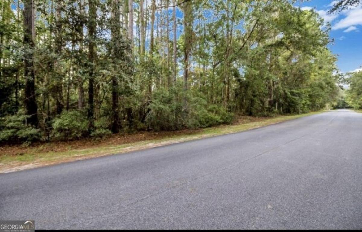 Picture of Residential Land For Sale in Townsend, Georgia, United States